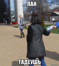 ... пан тадеушь