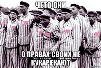 чето они о правах своих не кукарекают