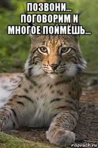 позвони... поговорим и многое поймёшь... 
