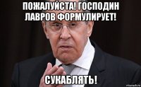 пожалуйста! господин лавров формулирует! сукаблять!