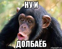 ну и долбаёб