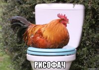  рисофач