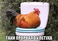  таки прорвало у петуха