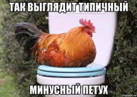 так выглядит типичный минусный петух