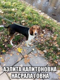  аэлита капитоновна насрала говна