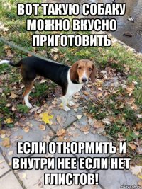 вот такую собаку можно вкусно приготовить если откормить и внутри нее если нет глистов!