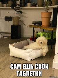  сам ешь свои таблетки