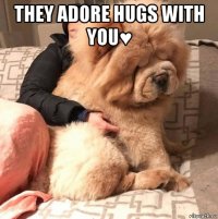 they adore hugs with you♥ 