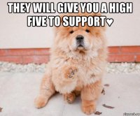 they will give you a high five to support♥ 