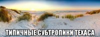 типичные субтропики техаса