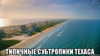  типичные субтропики техаса
