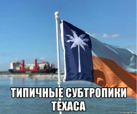 типичные субтропики техаса