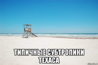  типичные субтропики техаса