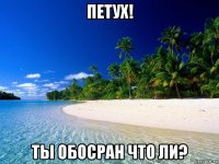 петух! ты обосран что ли?