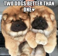 two dogs better than one♥ 