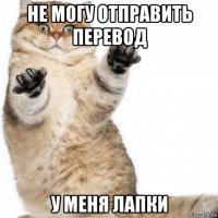 не могу отправить перевод у меня лапки