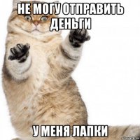 не могу отправить деньги у меня лапки