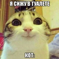 я сижу в туалете кот: