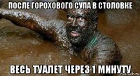 после горохового супа в столовке весь туалет через 1 минуту