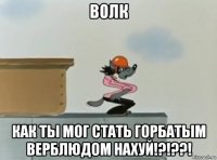 волк как ты мог стать горбатым верблюдом нахуй!?!??!