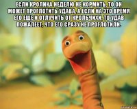 если кролика неделю не кормить, то он может проглотить удава, а если на это время его еще и отлучить от крольчихи, то удав пожалеет, что его сразу не проглотили. 