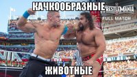 качкообразные животные
