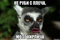 не руби с плеча, мозг кирпича