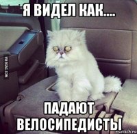 я видел как.... падают велосипедисты