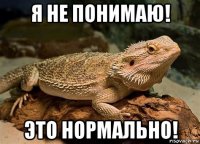 я не понимаю! это нормально!