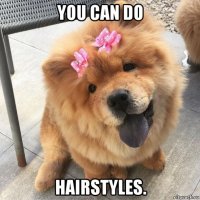 you can do hairstyles.