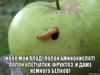  нооо мой плод! полон аминокислот! полон клетчатки, фруктоз, и даже немного белков!