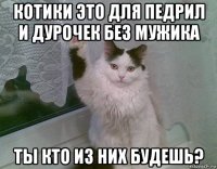 котики это для педрил и дурочек без мужика ты кто из них будешь?