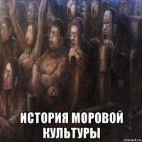  история моровой культуры