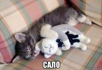  сало