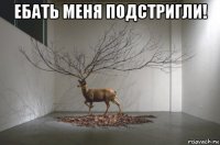 ебать меня подстригли! 
