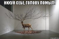 нихуя себе, голову помыл! 