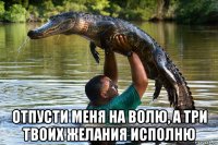  отпусти меня на волю, а три твоих желания исполню