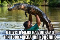  отпусти меня на волю, а я три твоих желания исполню