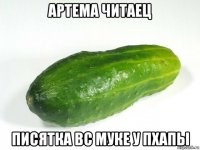 артема читаец писятка вс муке у пхапы