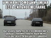 у меня нет эмоций. у меня есть сильное желание убить одну тварь. после этого можно жить дальше спокойно. пока не убью, меня разъедает изнутри. внешне все шикарно