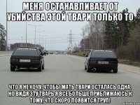 меня останавливает от убийства этой твари только то что я не хочу, чтобы мать твари осталась одна. но видя эту тварь я все больше приближаюсь к тому, что скоро появится труп!