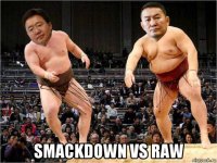  smackdown vs raw