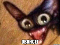  овансег