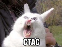  стас