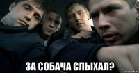  за собача слыхал?