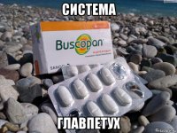 система главпетух