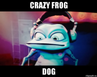crazy frog dog