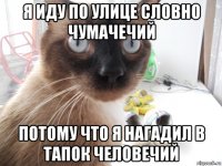 я иду по улице словно чумачечий потому что я нагадил в тапок человечий