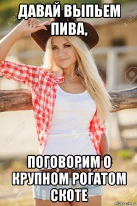 давай выпьем пива, поговорим о крупном рогатом скоте