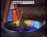 citycaaaard 